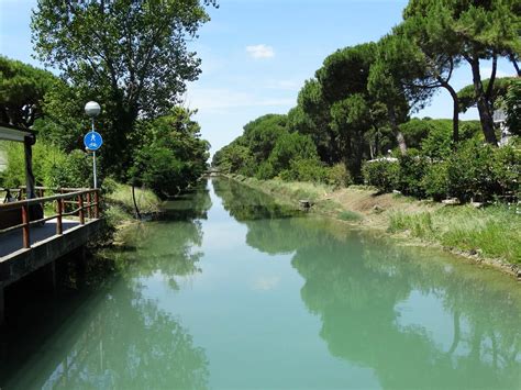 THE 15 BEST Things to Do in Milano Marittima (2024) 